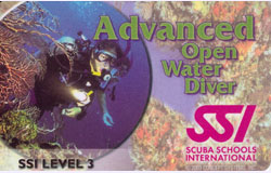 C Card Front